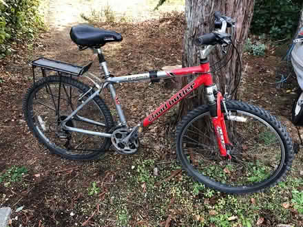 Photo of free Ladies bike (Chipstead TN13) #1