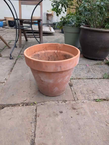 Photo of free Large clay flowerpot (New Marston OX3) #1