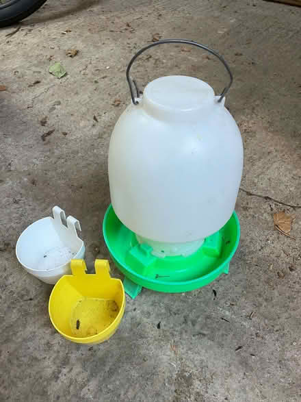 Photo of free small plastic feeder for chickens (Ludlow SY8) #1