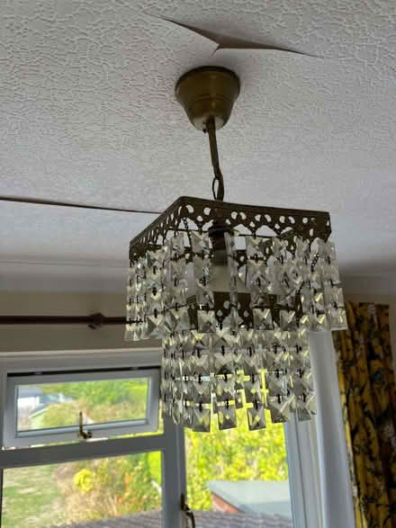 Photo of free Pair Ceiling Lights (Trumpsgreen GU25) #3