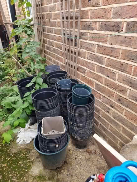 Photo of free 5l pots (Guildford Road, Horsham RH12) #1