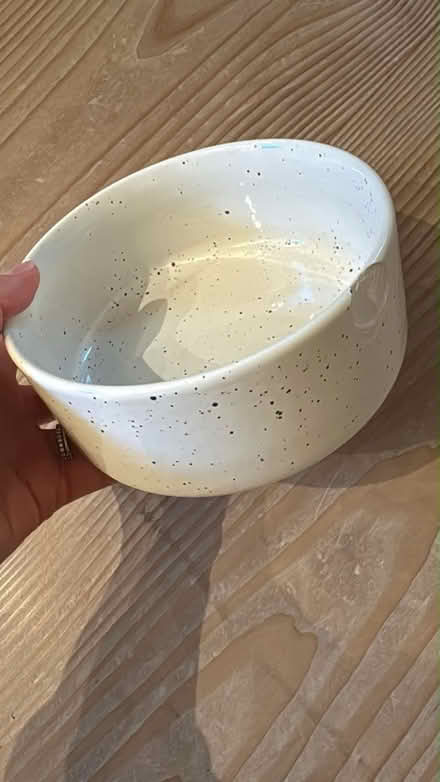 Photo of free Ceramic pet bowl (SW13) #1