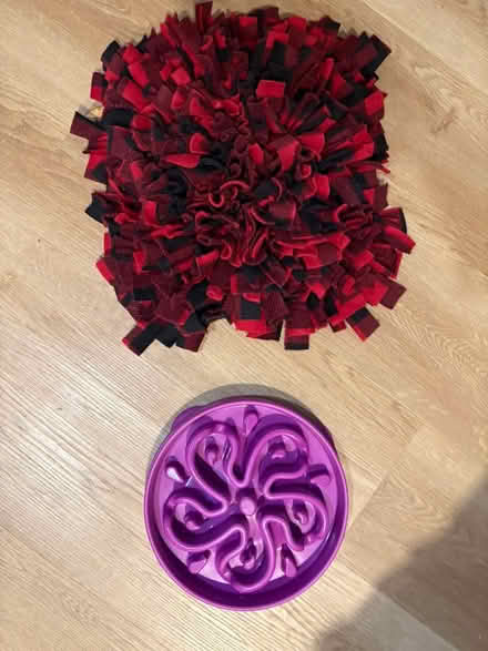 Photo of free Snuffle mat & slow feeder dog bowl (Hurley NY) #1