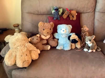 Photo of free Various soft toys (Dogsthorpe, Peterborough PE1) #1