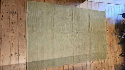 Photo of free Green Habitat rug (Mill Road CB1) #1