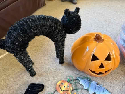 Photo of free Halloween Decorations (Malvern WR14) #2
