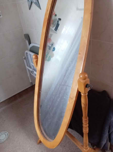Photo of free Mirror (Puds3 LS13) #1