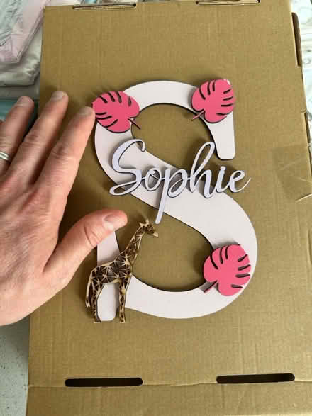 Photo of free “Sophie” bedroom door sign (Ingatestone CM4) #2
