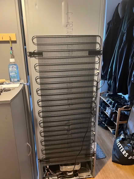 Photo of free Hotpoint Tall Larder Fridge (Bedwas CF83) #4