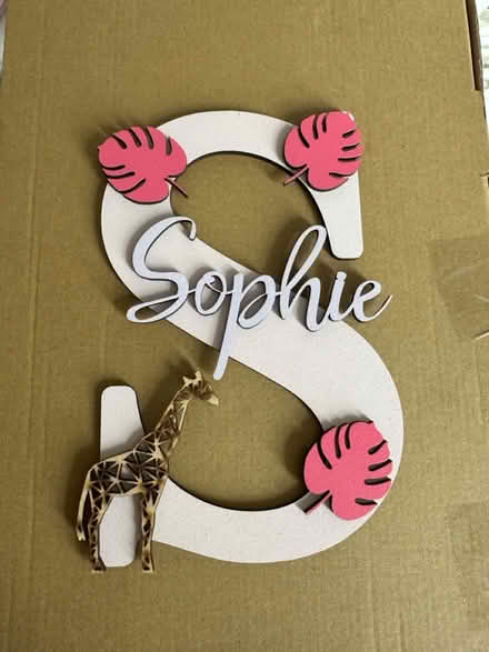 Photo of free “Sophie” bedroom door sign (Ingatestone CM4) #1