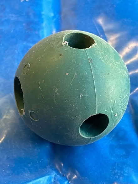 Photo of free Garden cane connector / topper (Great Boughton CH3) #1