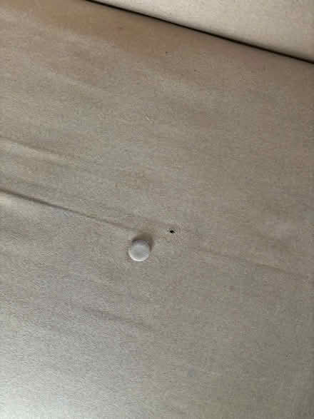Photo of free Made.com click clack sofa bed (Bexleyheath DA6) #3