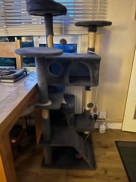 Photo of Cat Tower (Shepperton TW17) #1