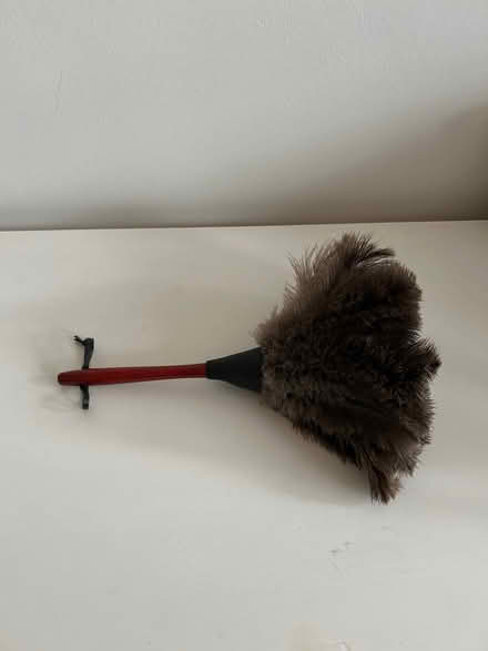 Photo of free Real ostrich feather duster with wooden handle (Woodside G20) #1