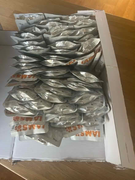 Photo of free Iams cat food (Codicote SG4) #2
