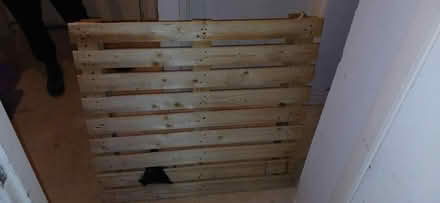Photo of free Would (Lewisham) #1