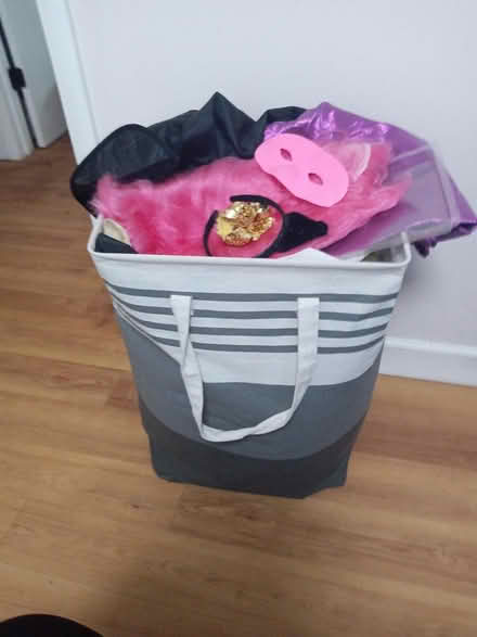 Photo of free Halloween costume stuff (Fern Park) #1