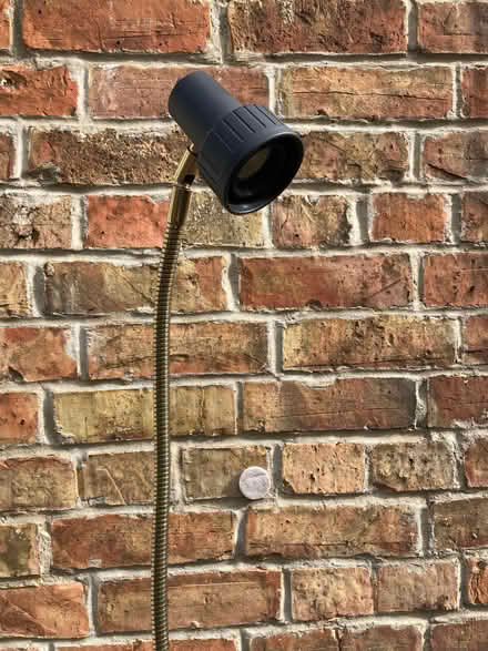 Photo of free Lamp (Osney OX2) #2
