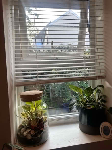 Photo of free Small blind (Kingston KT1) #1