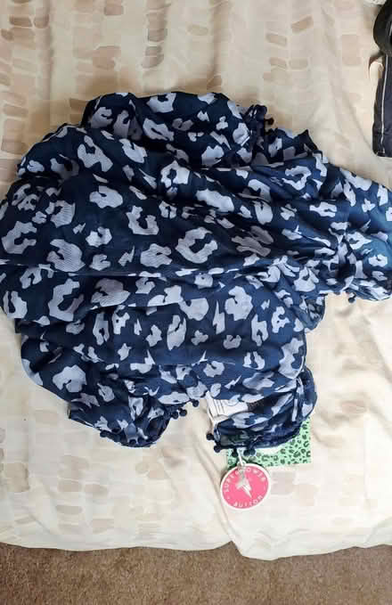 Photo of free Blue scarf large with tags -Gift (Bramley, Hants RG26) #1
