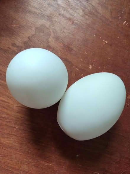 Photo of free Coloured egg lights (Burley in Wharfedale LS29) #1