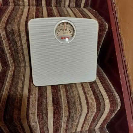 Photo of free Bathroom scales (Crystal Palace, SE19) #1