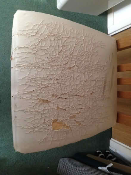Photo of free 4x Sturdy Wooden Chairs (Singleton, Ashford, Kent, TN23) #2