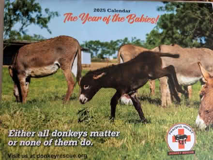 Photo of free 2 calendars with cute pics (West Littleton) #1