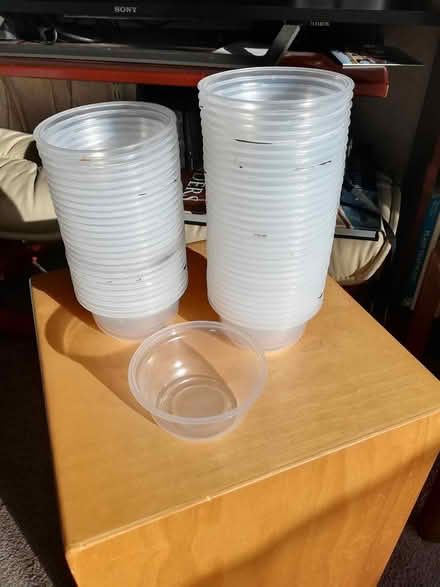 Photo of free Yoghurt pots, 40+ (Cholsey/Wallingford OX10) #1