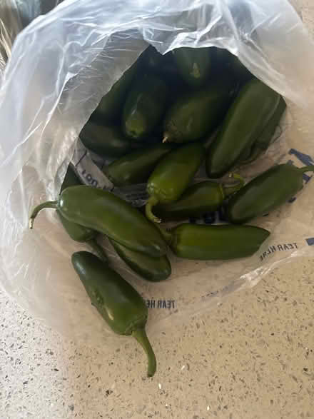 Photo of free Bag of jalapeños (Crete, IL) #1