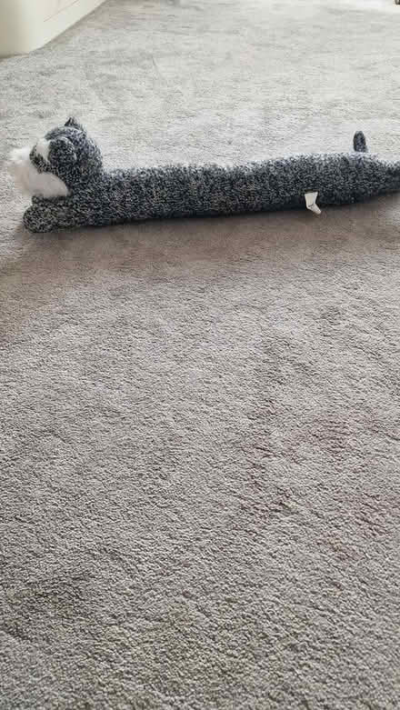 Photo of free Draft excluder (Hastings TN38) #1