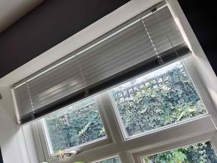 Photo of free Medium Blind (Kingston KT1) #2