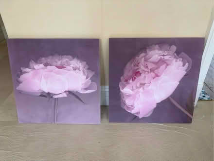 Photo of free Peony canvas x 2 (Tarleton PR4) #1