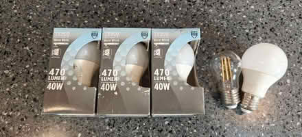 Photo of free LED Light Bulbs (Theale RG7) #1