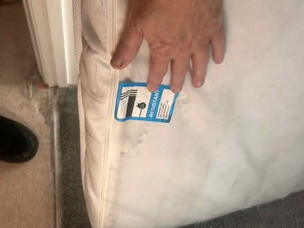 Photo of free Single mattress (Rochester ME1) #3