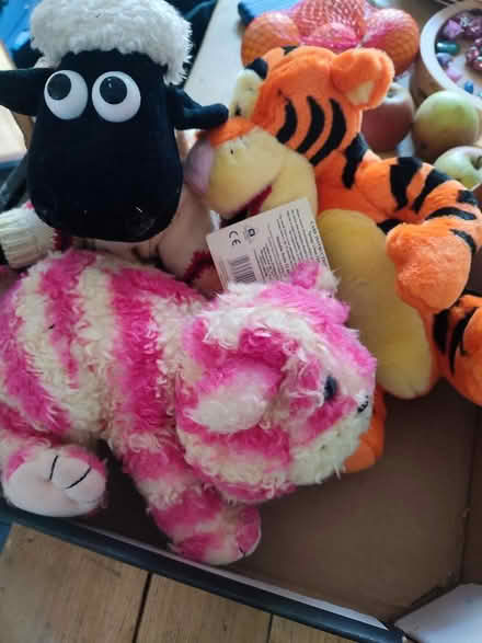 Photo of free Soft Toys (Dursley GL11) #1