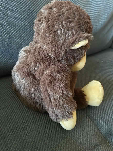 Photo of free Plush monkey heated beanbag (North Road BA2) #3