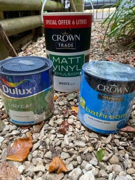 Photo of free White paint (University of Bath BA2) #1