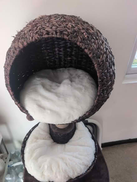 Photo of free Cat Tree / Scratching Post with Bed (HA7) #2