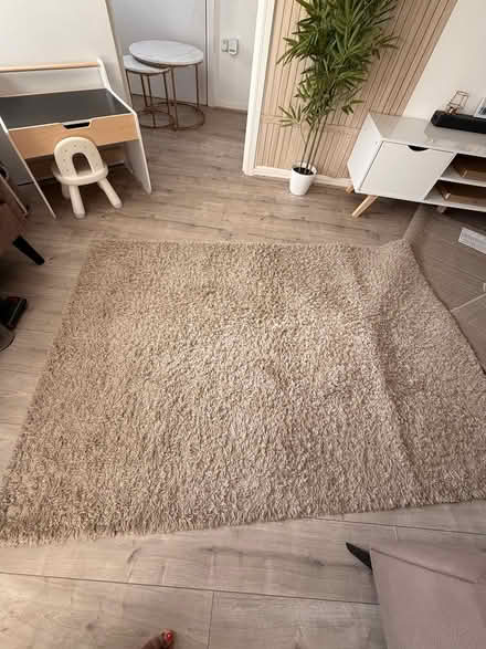 Photo of free Centre rug (43 fairway crescent doncaster) #1