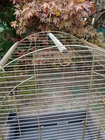 Photo of free Large brass bird cage (Llanferres, Nr.Mold. CH7) #3