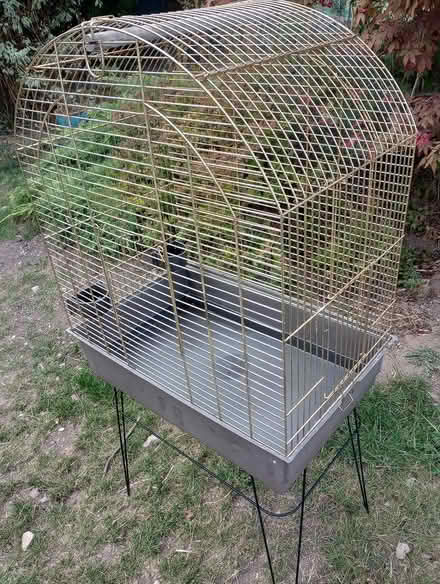 Photo of free Large brass bird cage (Llanferres, Nr.Mold. CH7) #4