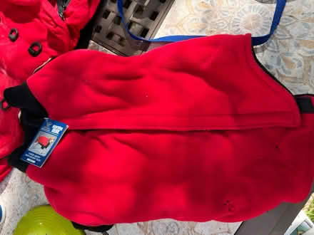 Photo of free Med-lg dog supplies (Lunenburg) #1
