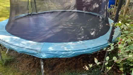 Photo of free Trampoline, 3m diameter (Beaconside ST16) #3