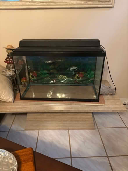 Photo of free Fish Aquarium (w/air pump & filter) (Delray Beach, FL) #3
