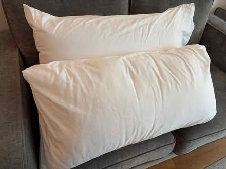 Photo of free New Super King Pillows with Cases (Clerkenwell EC1V) #1