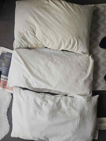 Photo of free 3 pillows (N3) #1