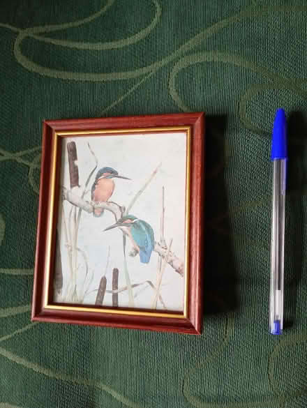Photo of free Kingfishers (Three Bridges RH10) #1