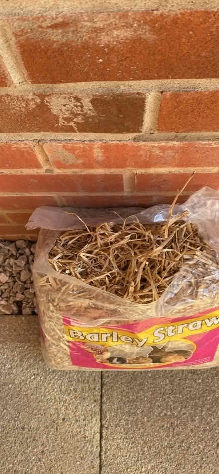Photo of free Barley Straw (Morton LN6) #2