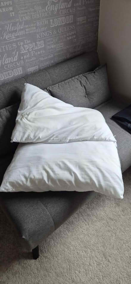 Photo of free 2x M&S pillows (Narborough LE19) #1